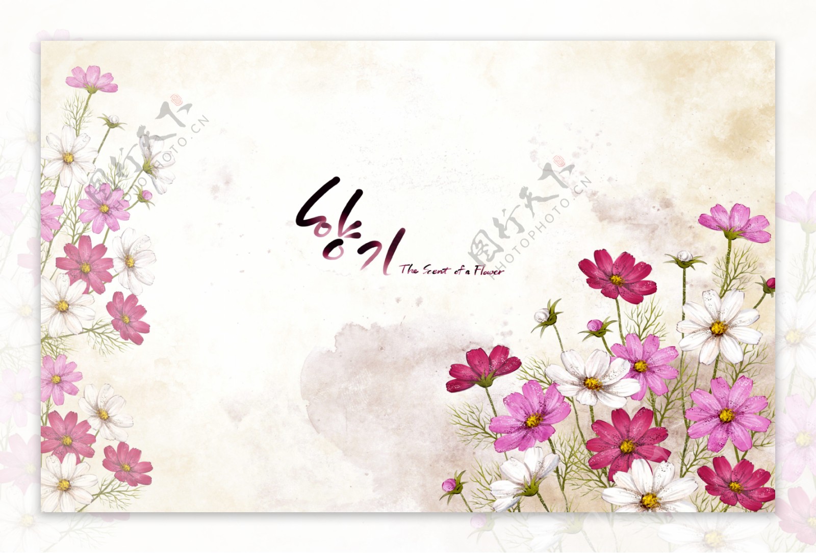 温馨粉色韩国花朵背景