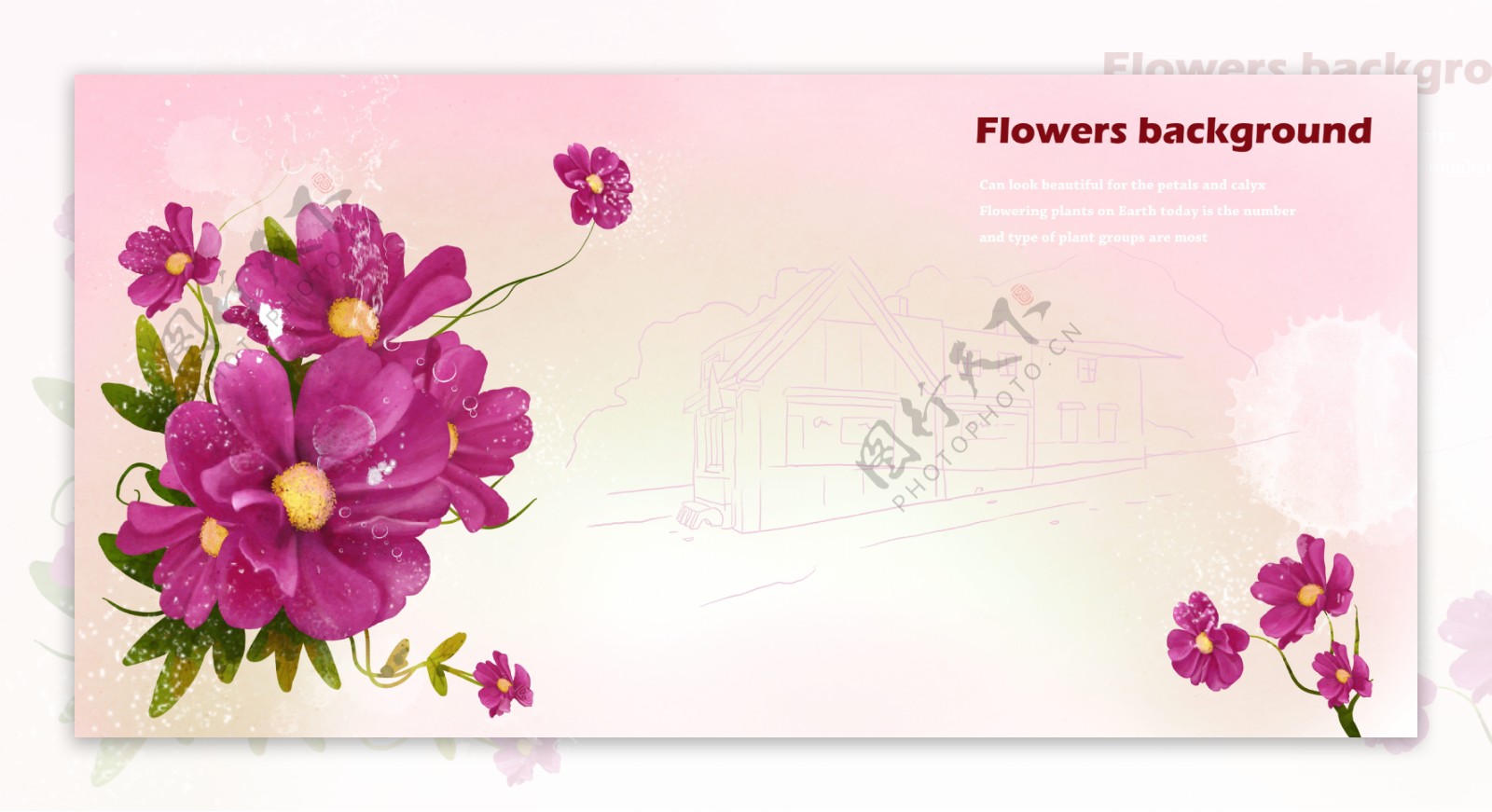 粉红色系手绘花朵明信片