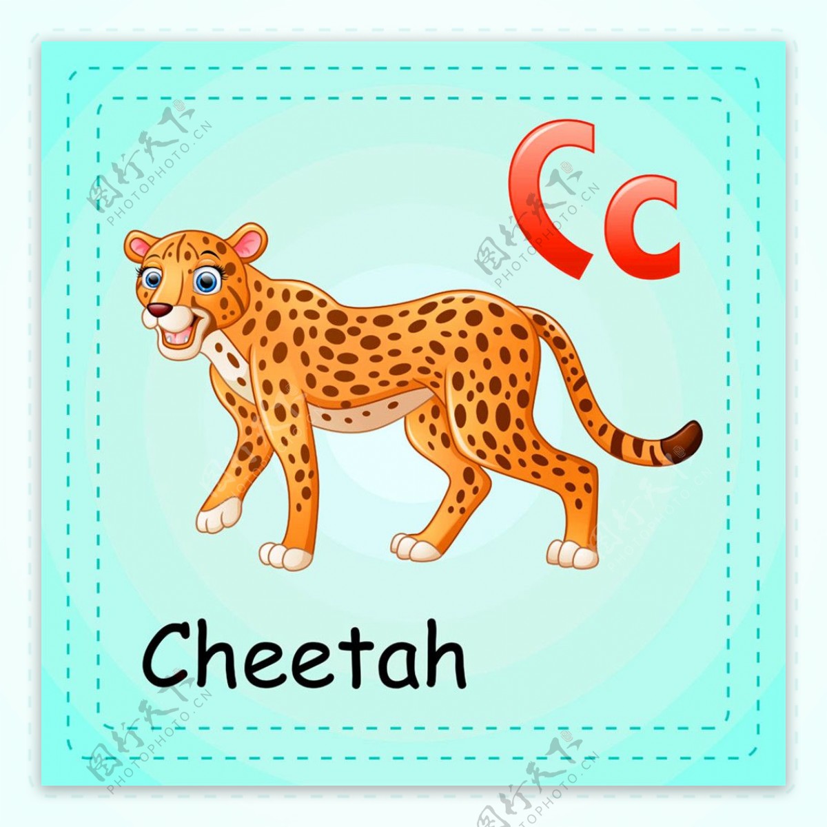 豹子动物单词图片