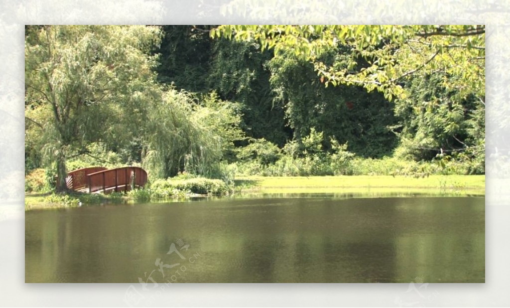 湖面中的树叶飘飘小桥流水的怡然景象视频素材