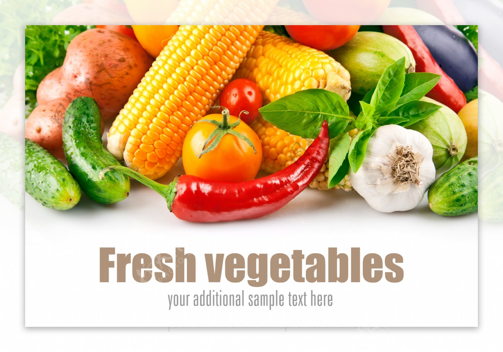 新鲜蔬菜背景图片