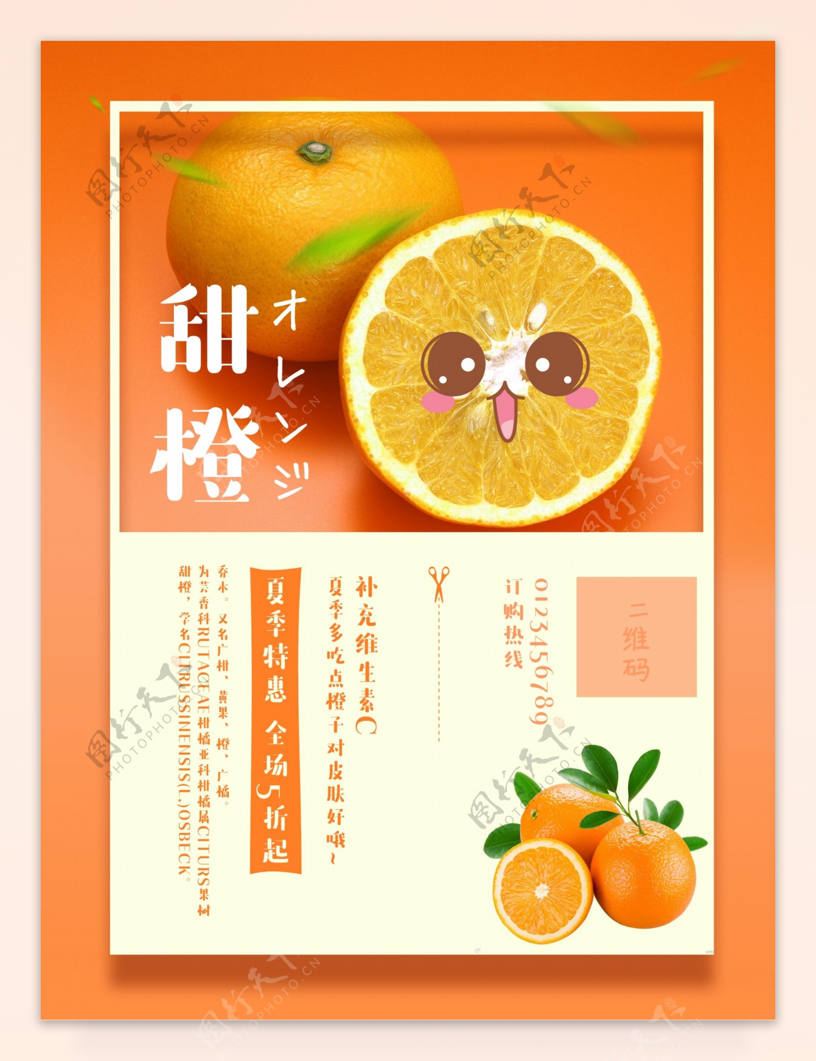 橙色橙子水果海报设计