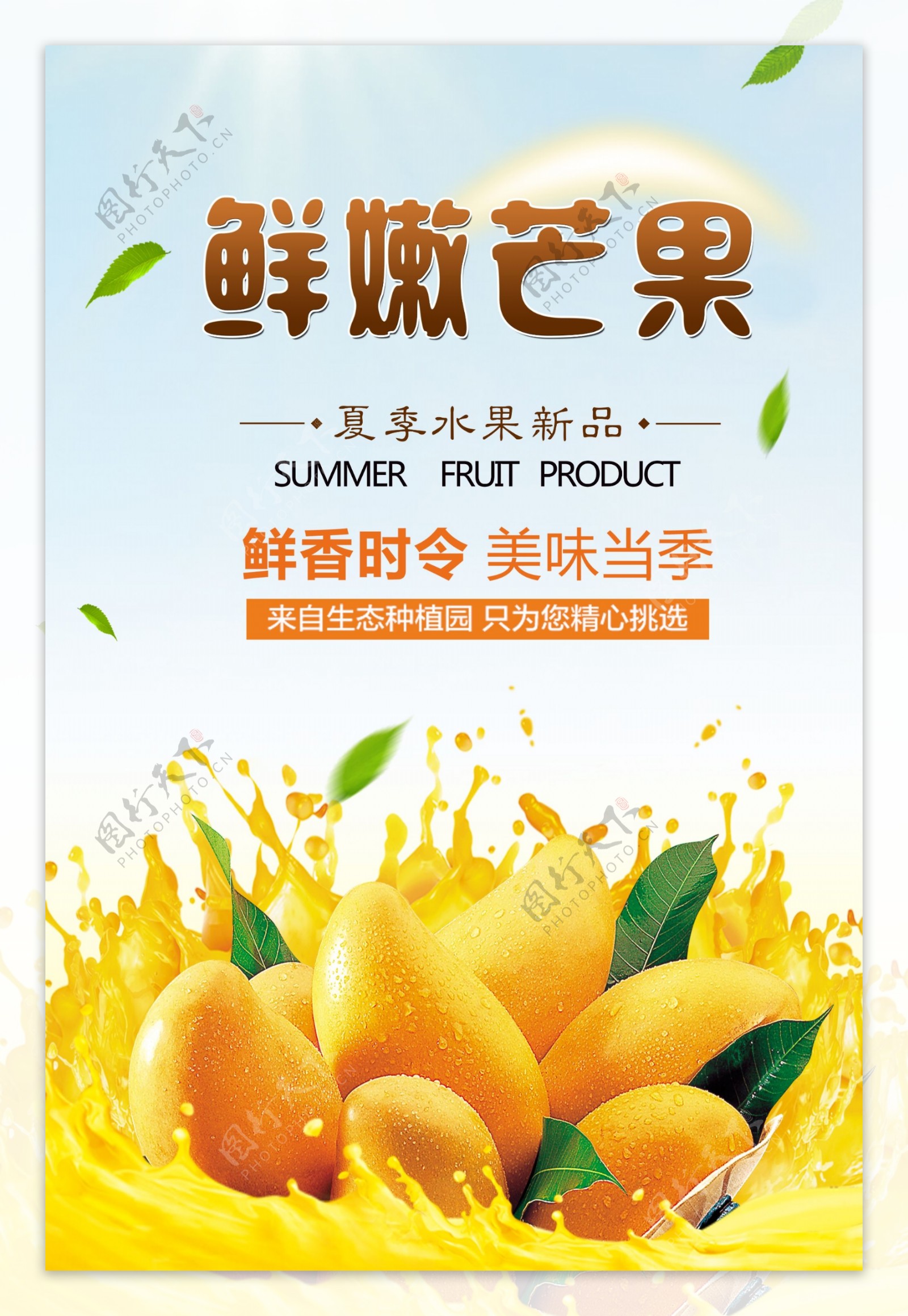 芒果水果夏日促销系列海报设计