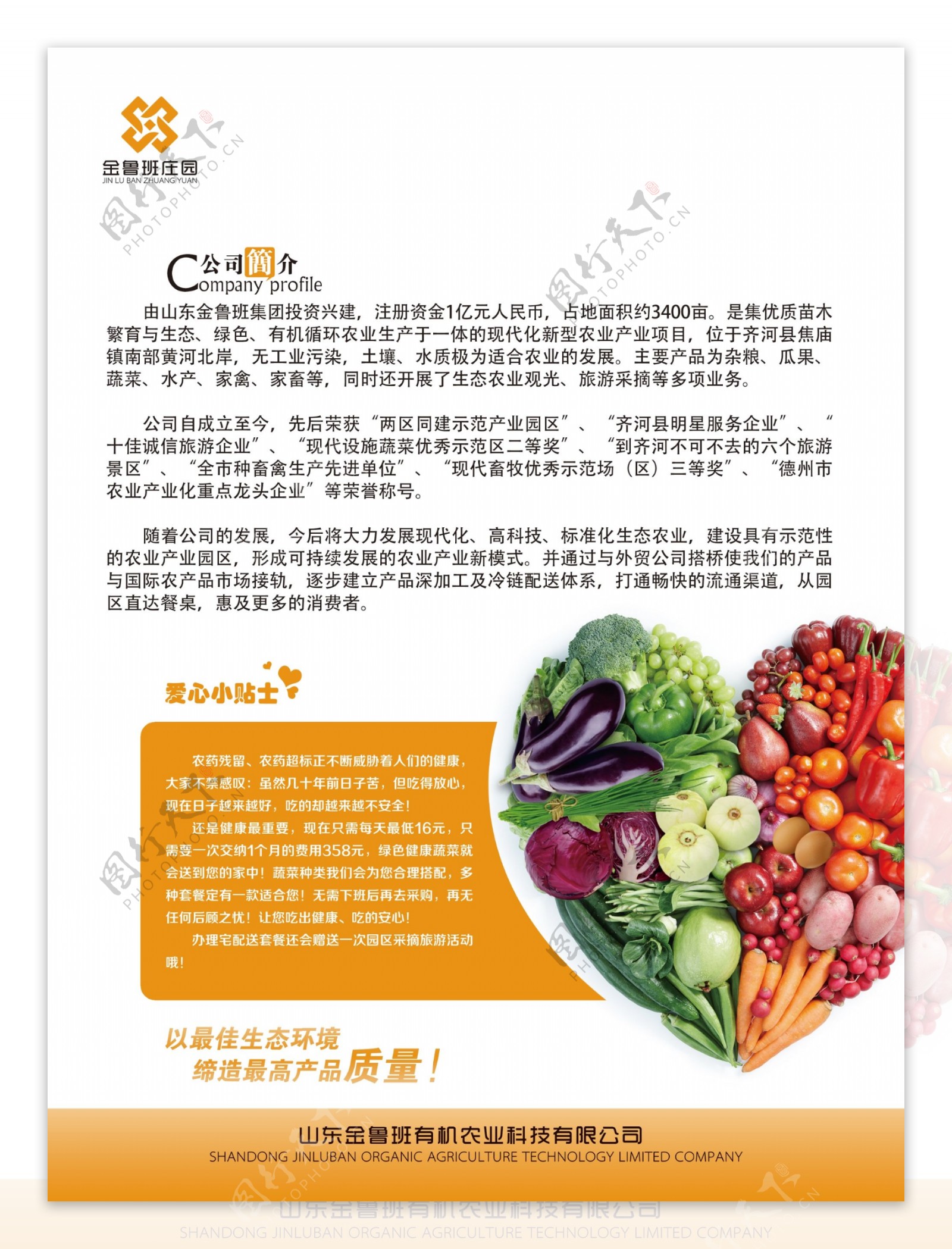 蔬菜单页宣传