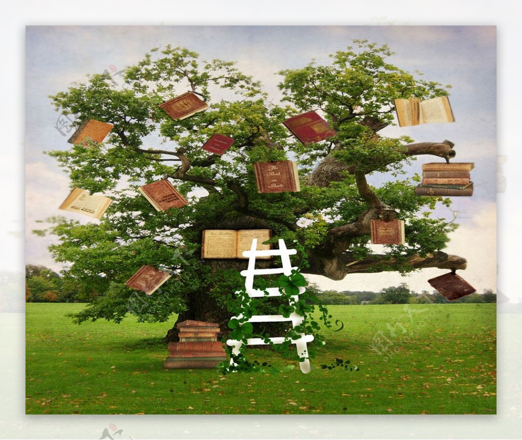 挂满书本的大树影楼摄影背景图片