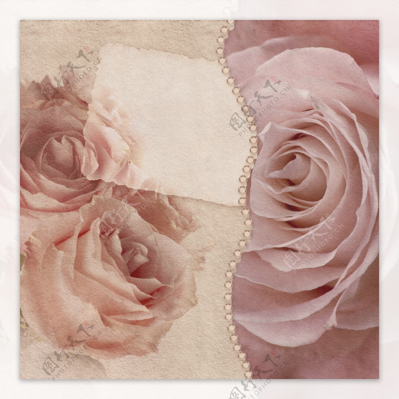 浪漫玫瑰花卡片图片