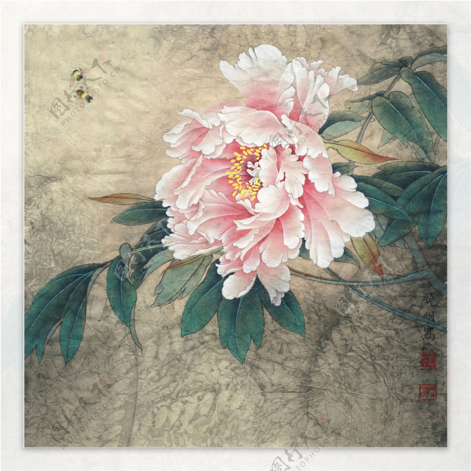 中国画牡丹图片