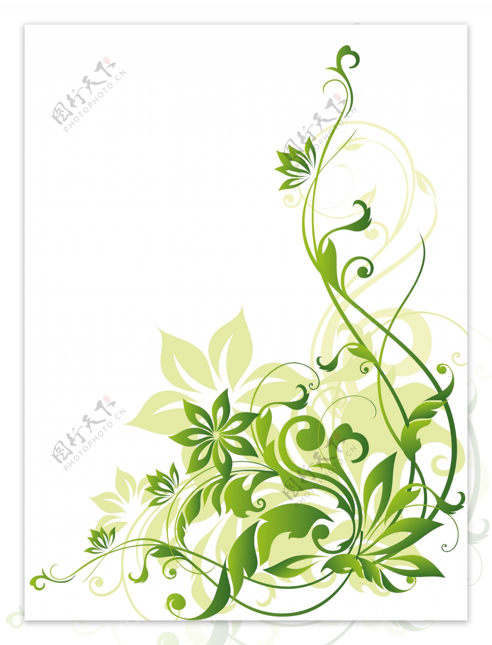绿色植物花朵纹理边框