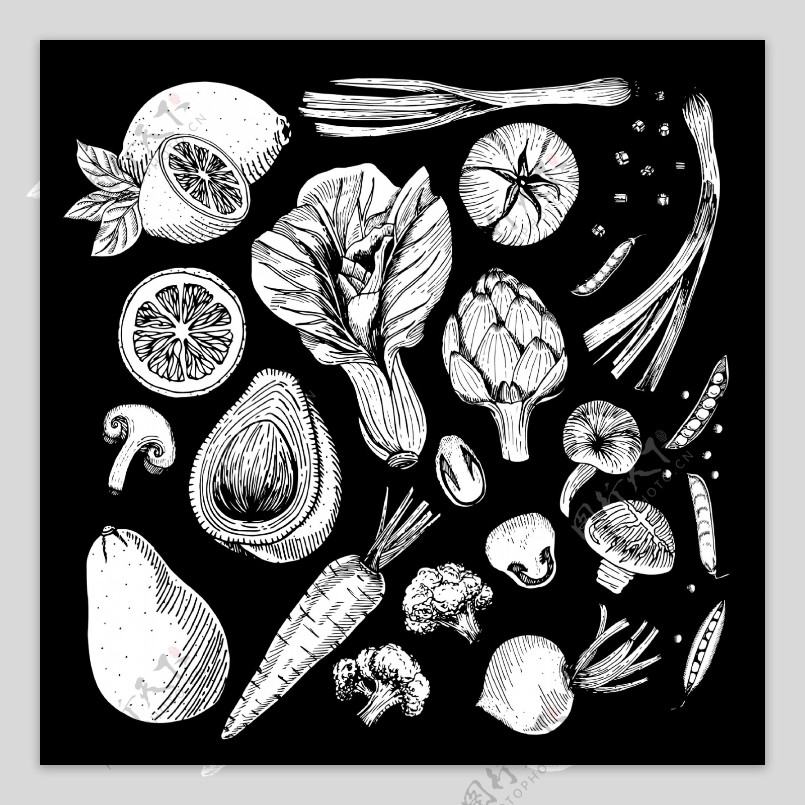 手绘素描风格蔬菜免抠png透明图层素材