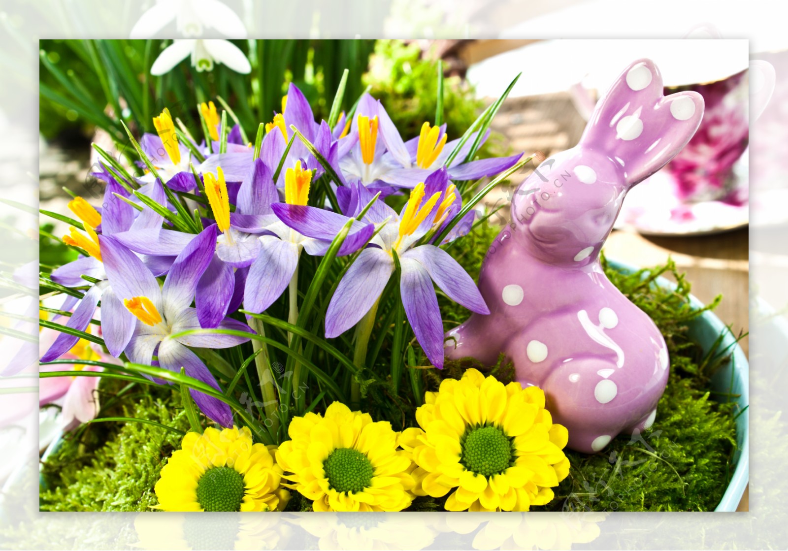 复活节兔子与鲜花图片