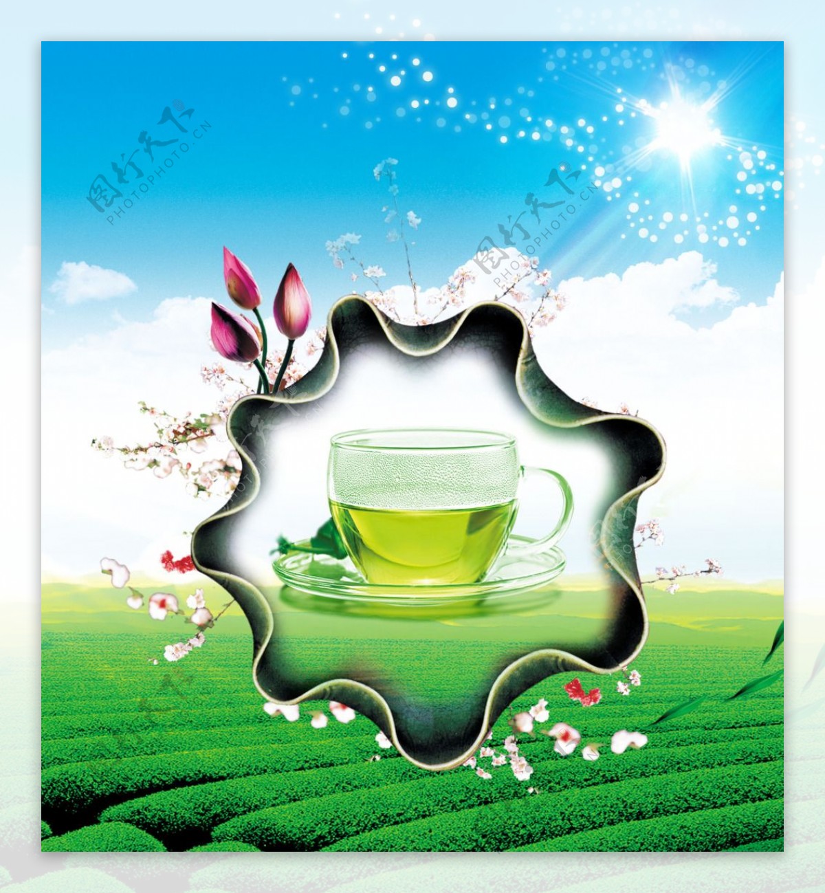 绿茶茶叶海报宣传单