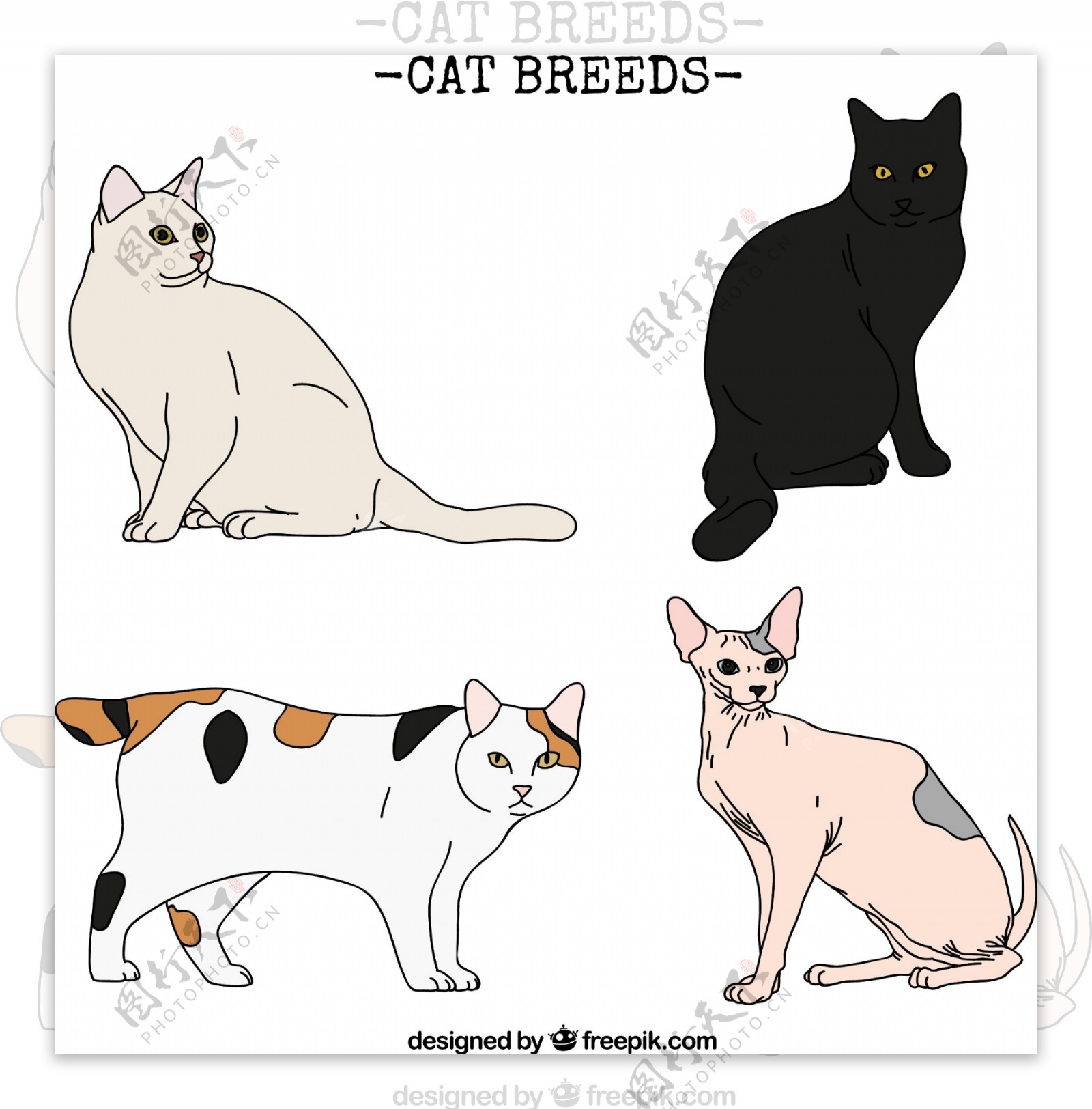 4款可爱彩绘猫咪设计矢量素材