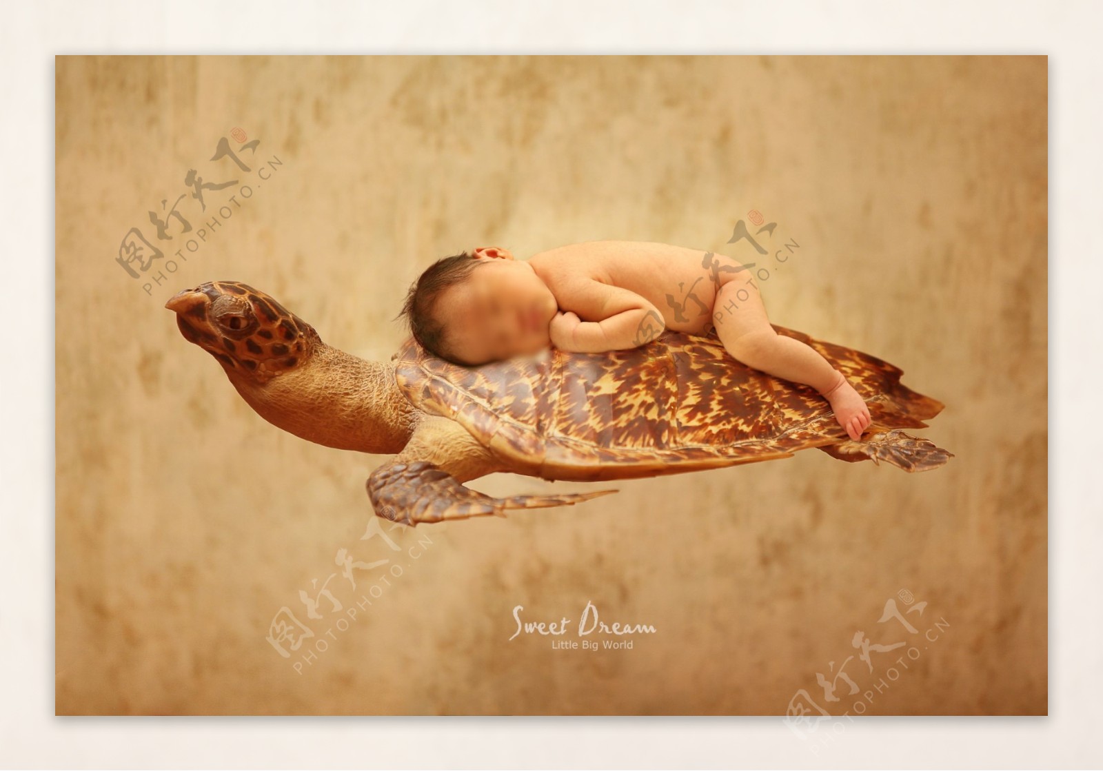 乌龟婴儿睡睡海报