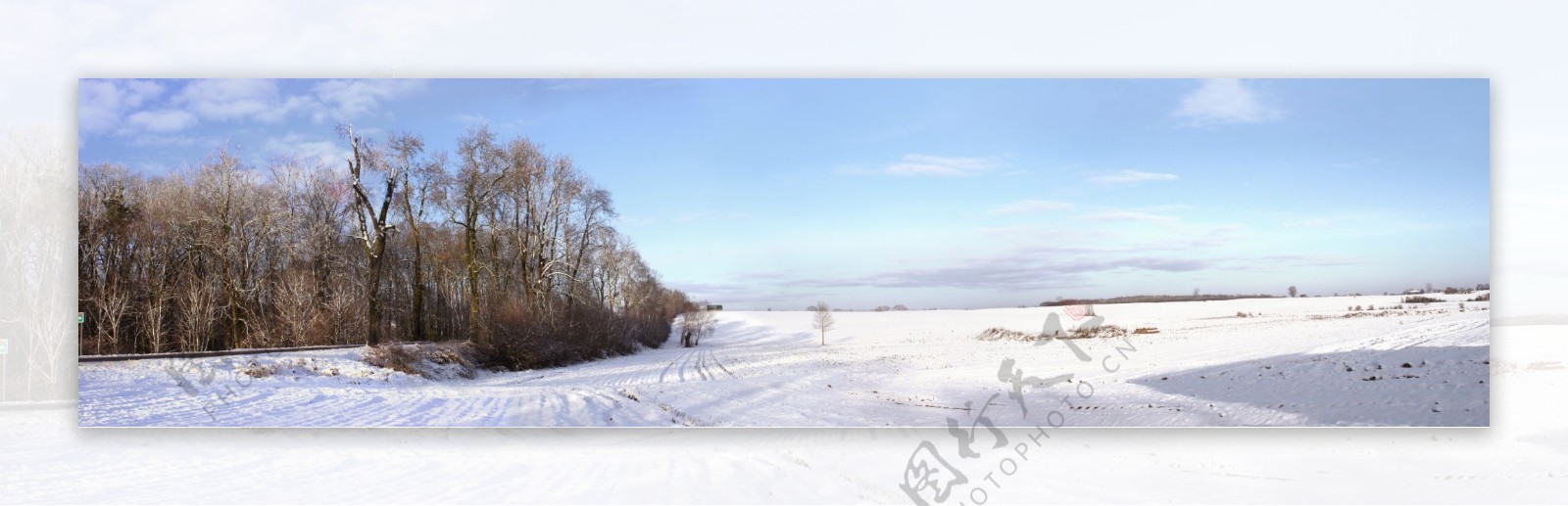 雪地风景图片