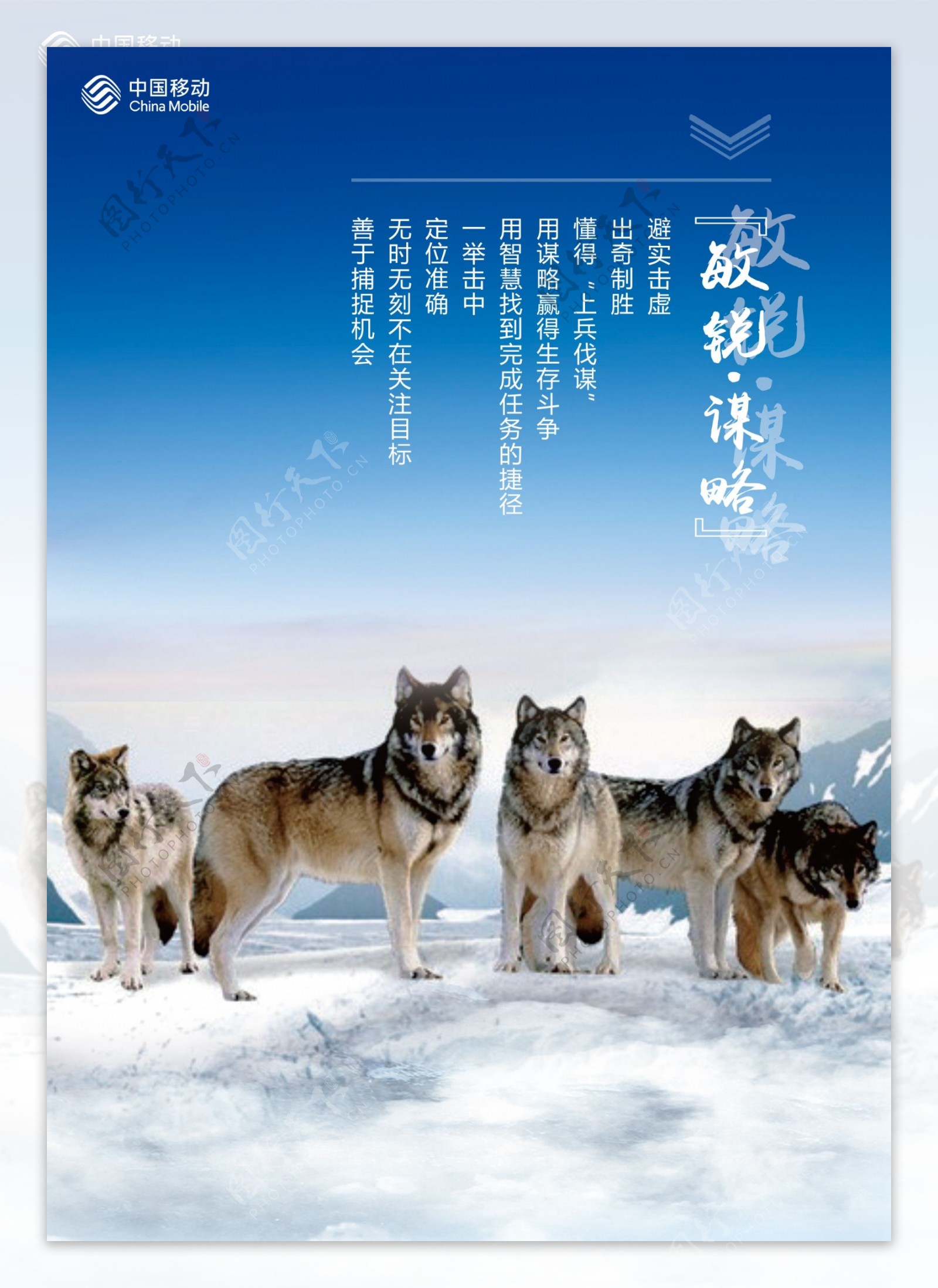 蓝色企业狼文化宣传海报展板