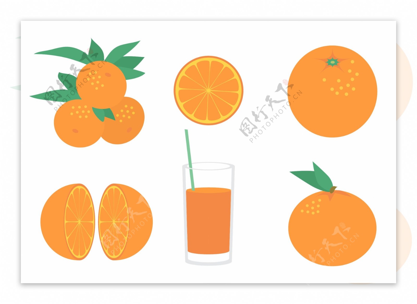 手绘扁平橙子插画
