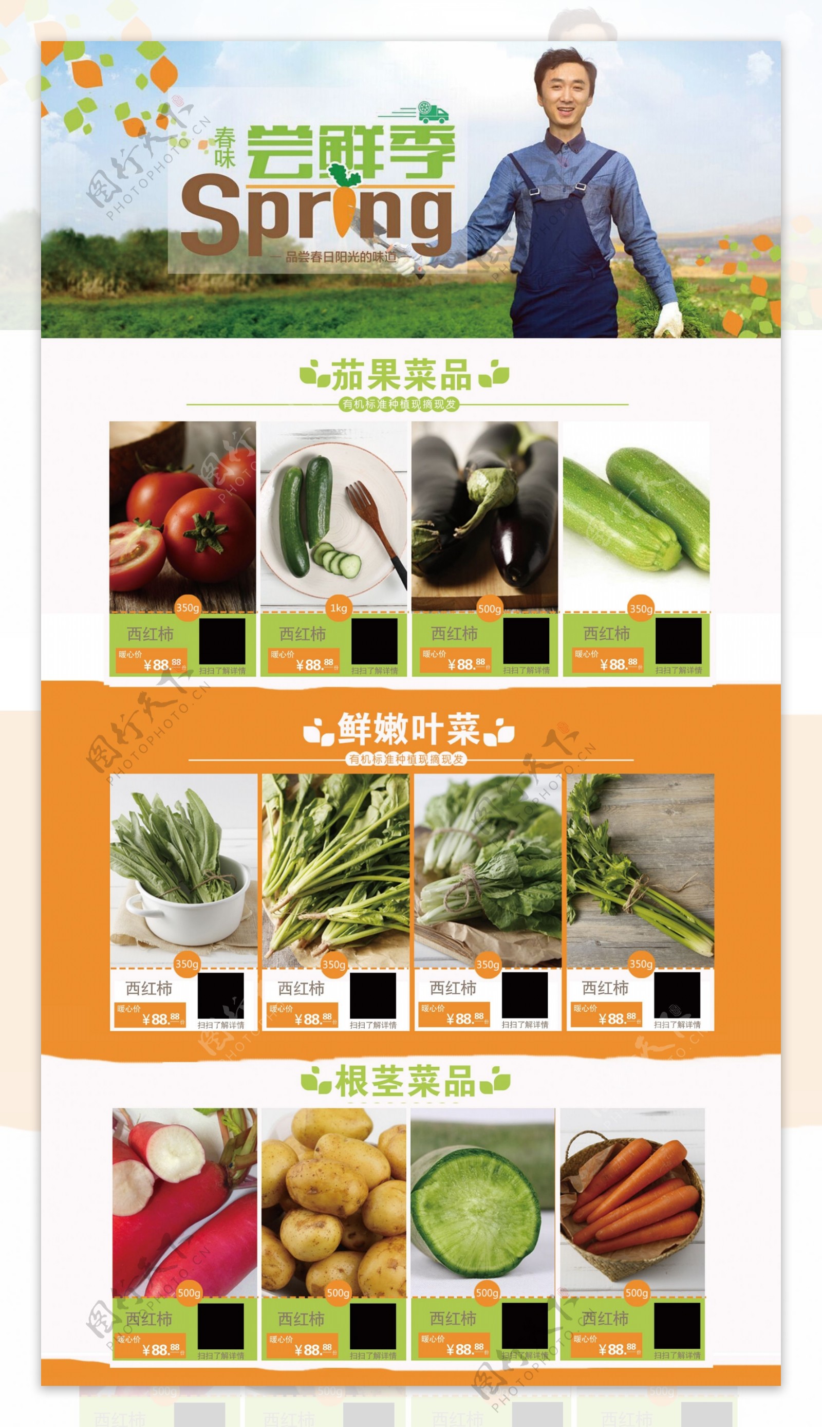 蔬菜价格展板