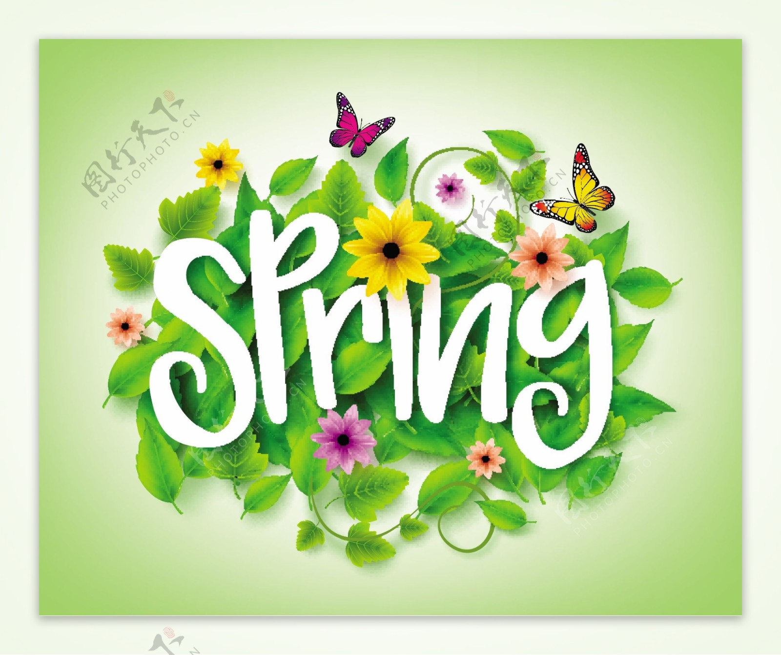 春季Spring艺术字图片素材-编号02548002-图行天下