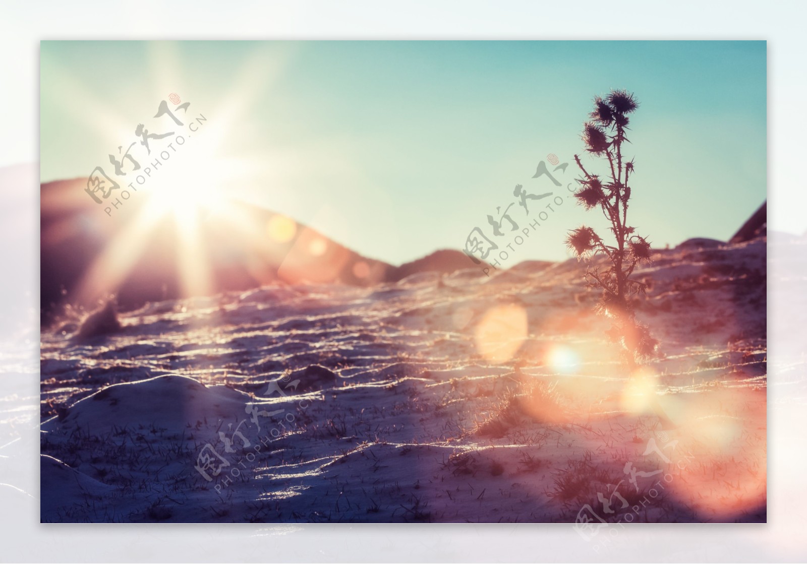 沙漠阳光背景图片