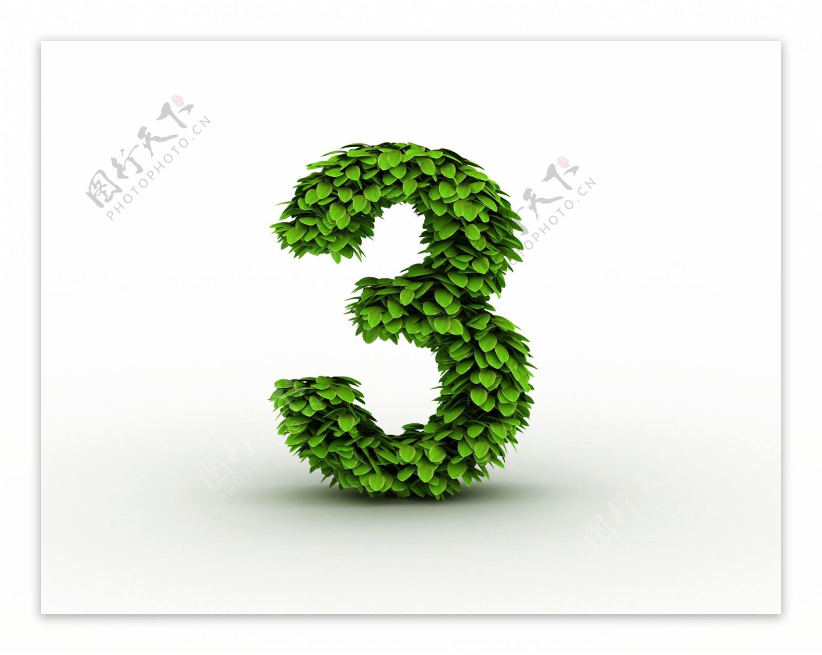 绿叶立体数字3