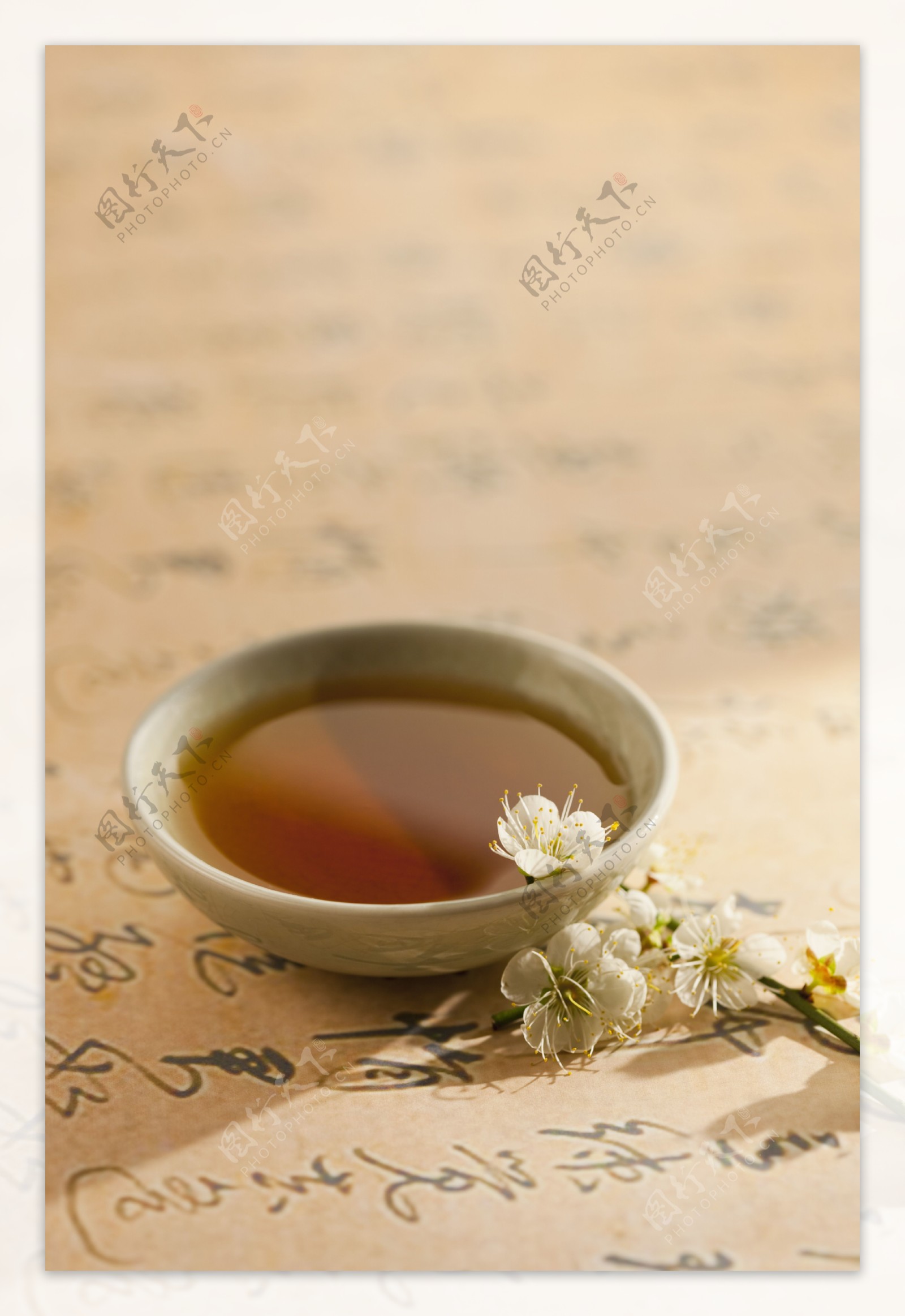 茶碗桃花图片