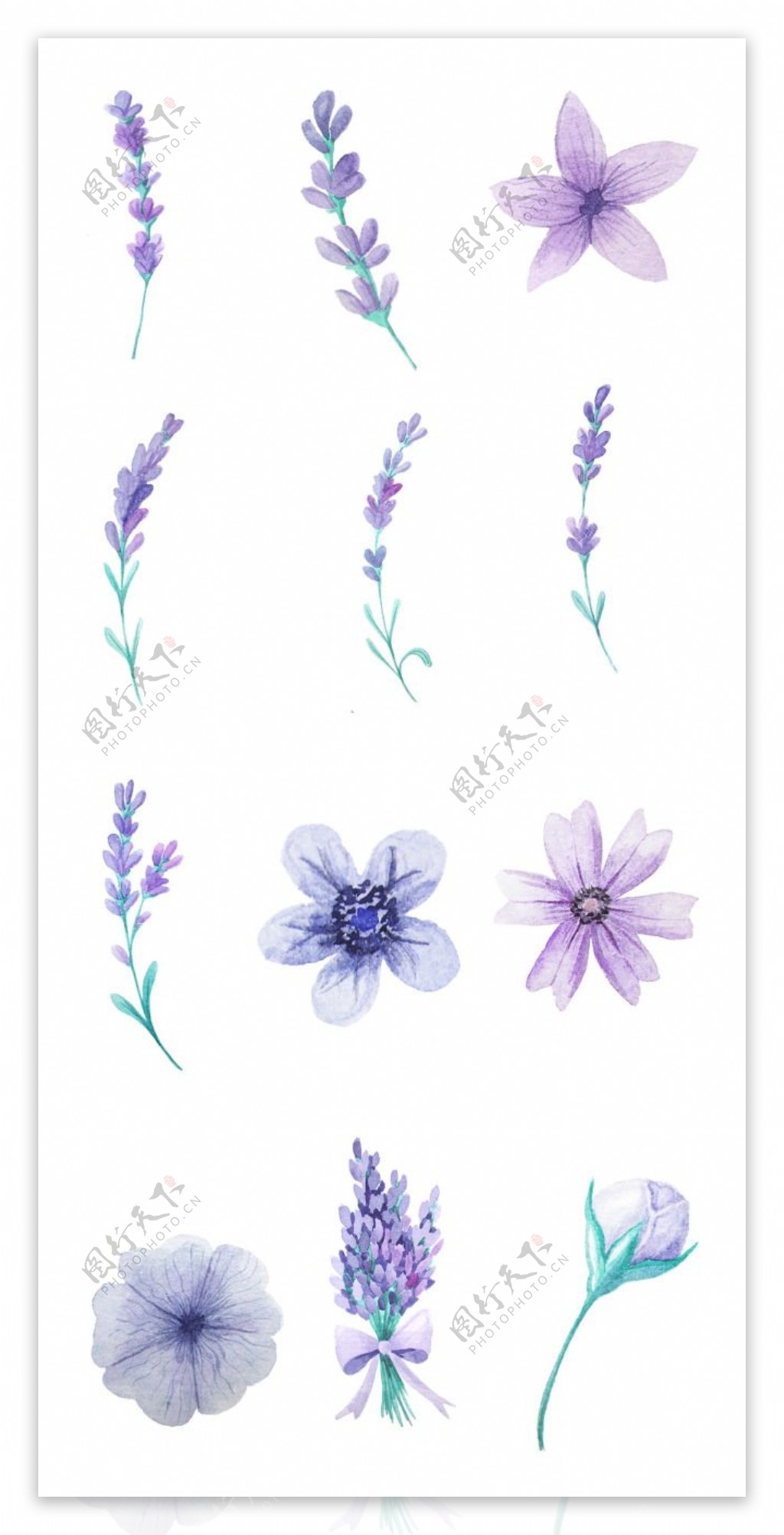 优雅水彩紫色花朵素材集