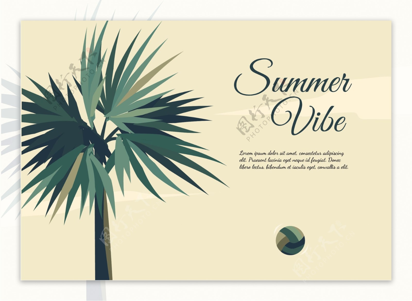 夏季棕榈树插画