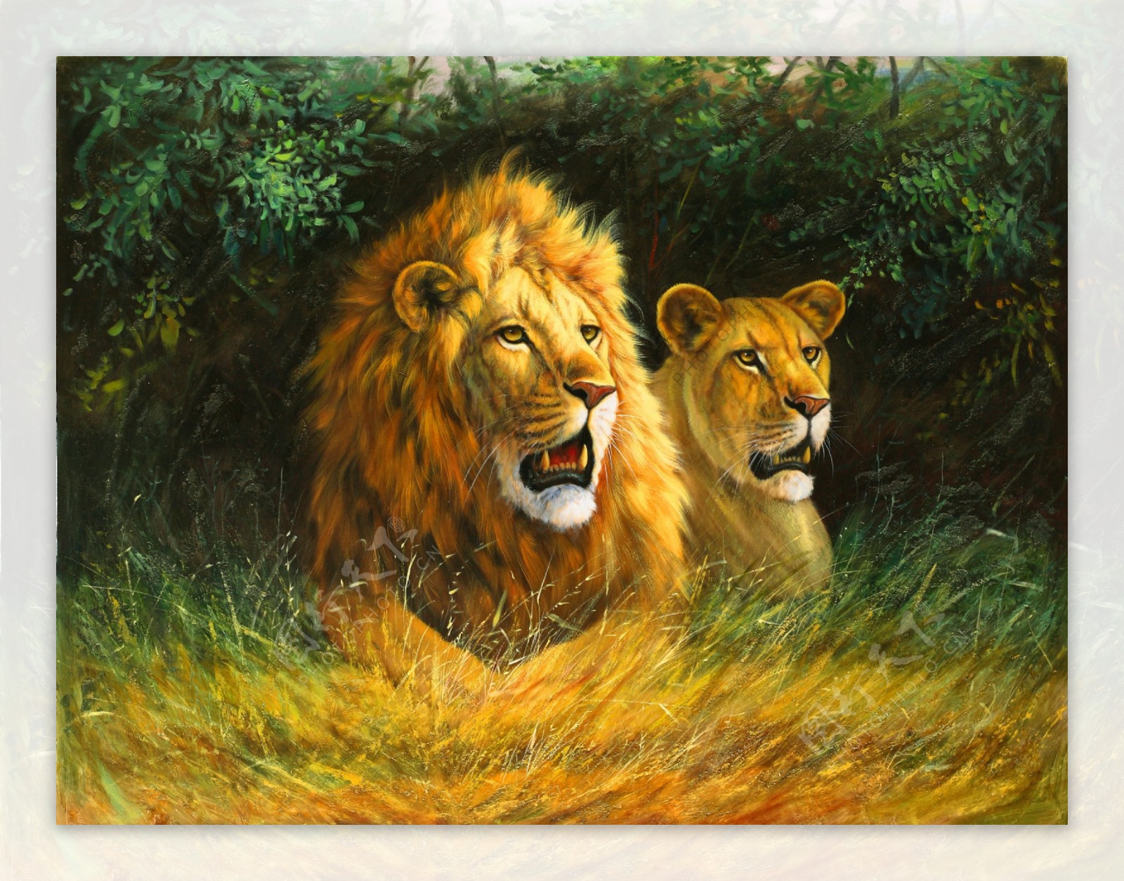 狮子油画图片
