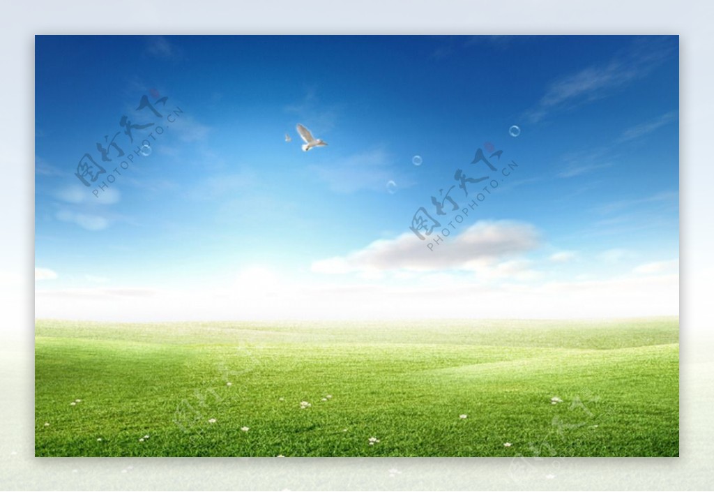 蓝天白云草地展板背景图片