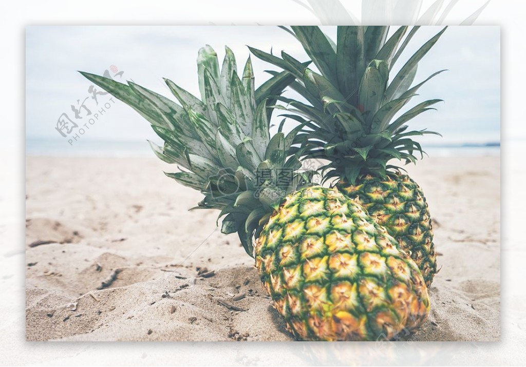 健康海水沙滩沙滩水果海边户外菠萝