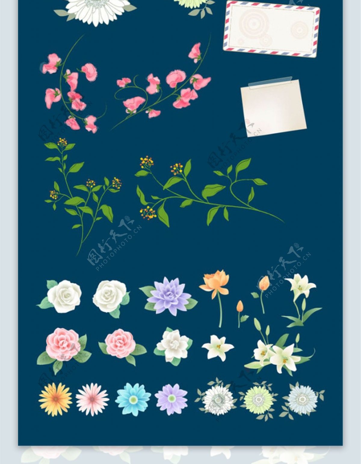 百合玫瑰花卉矢量图