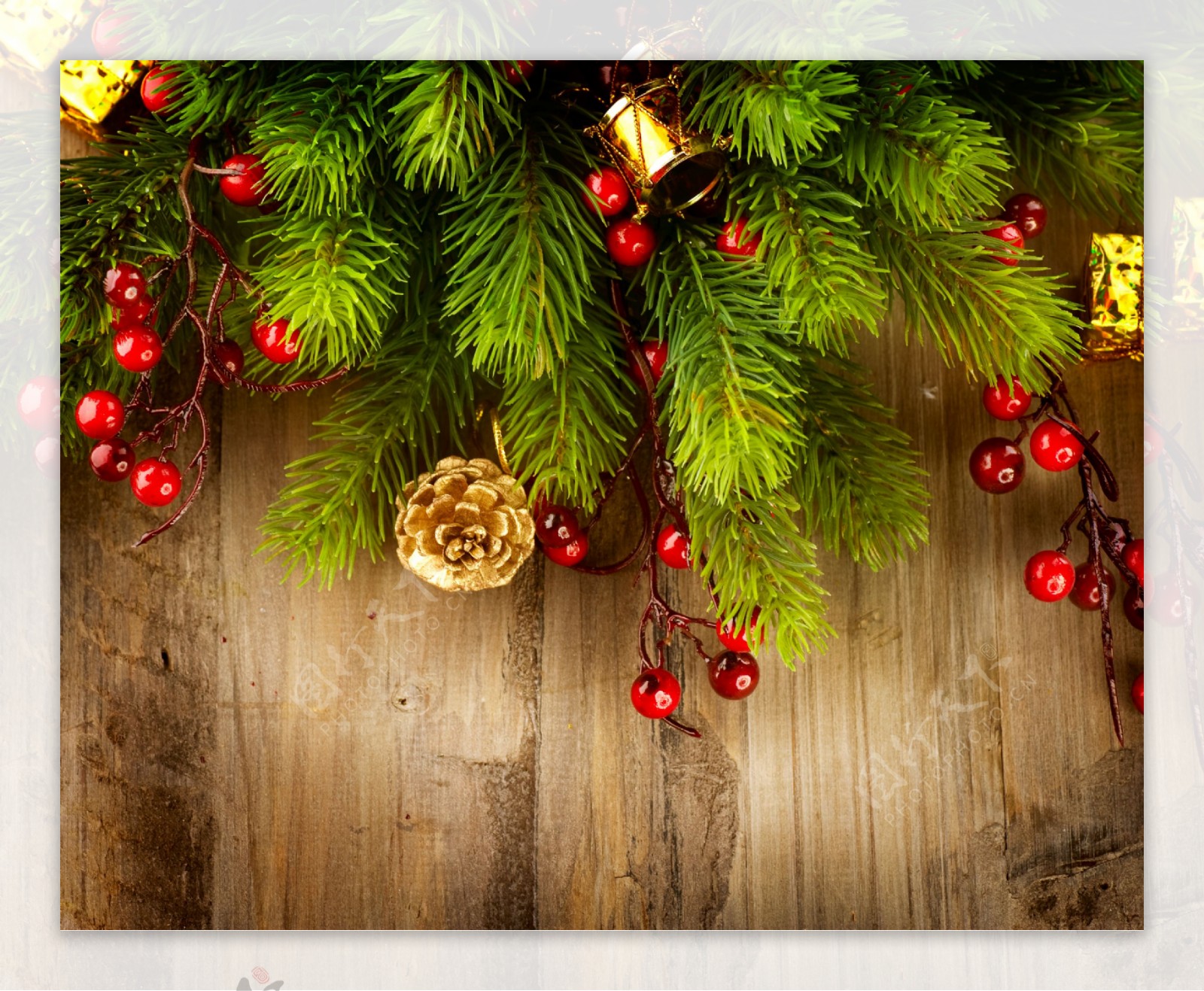 圣诞树枝和木板