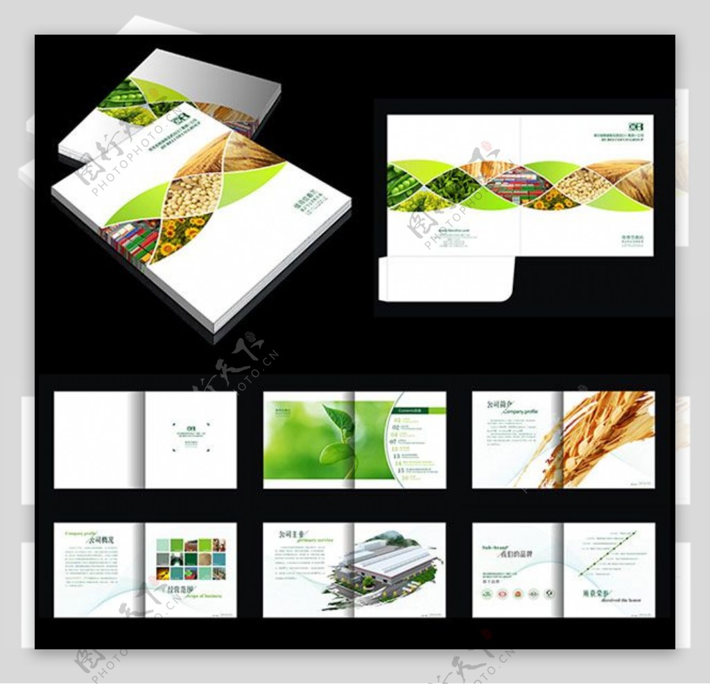 农业企业宣传画册设计模板cdr素材