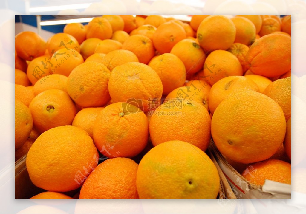 orangesh.JPG
