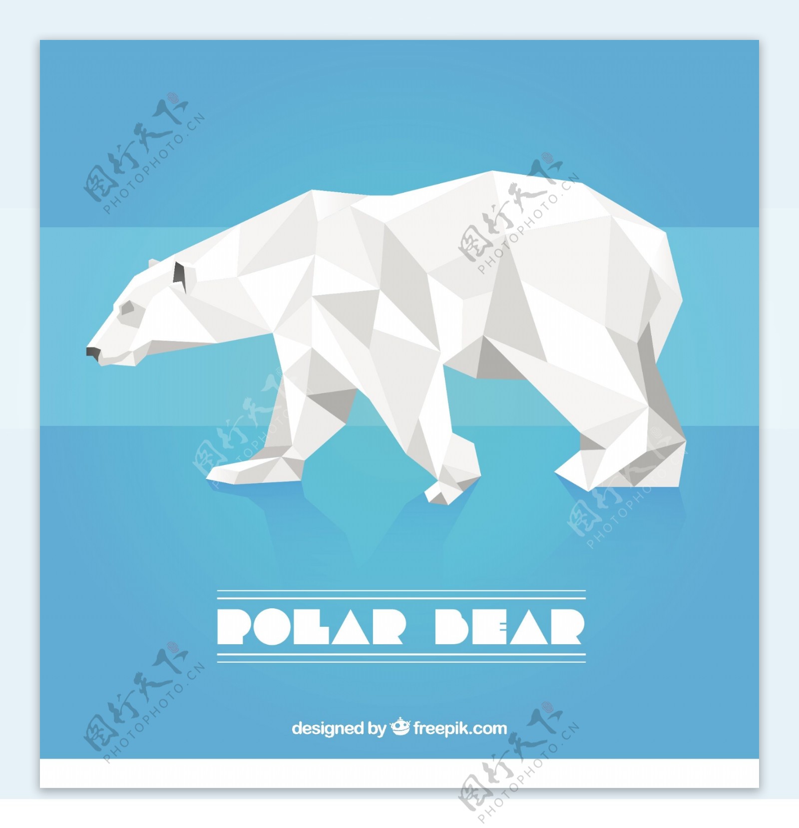 多边形的北极熊