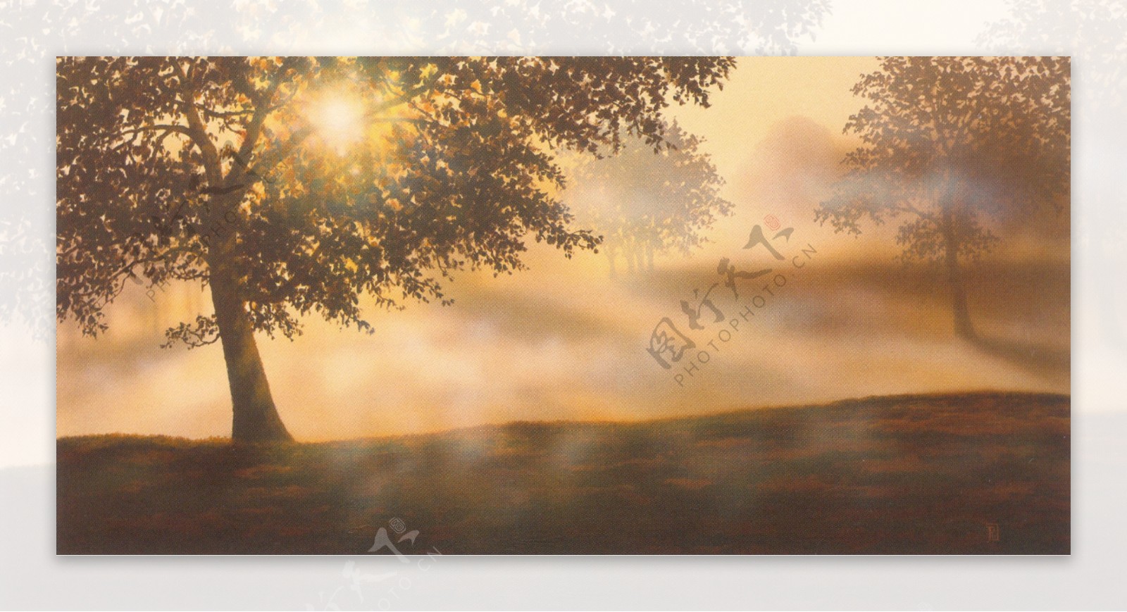 树与阳光油画图片