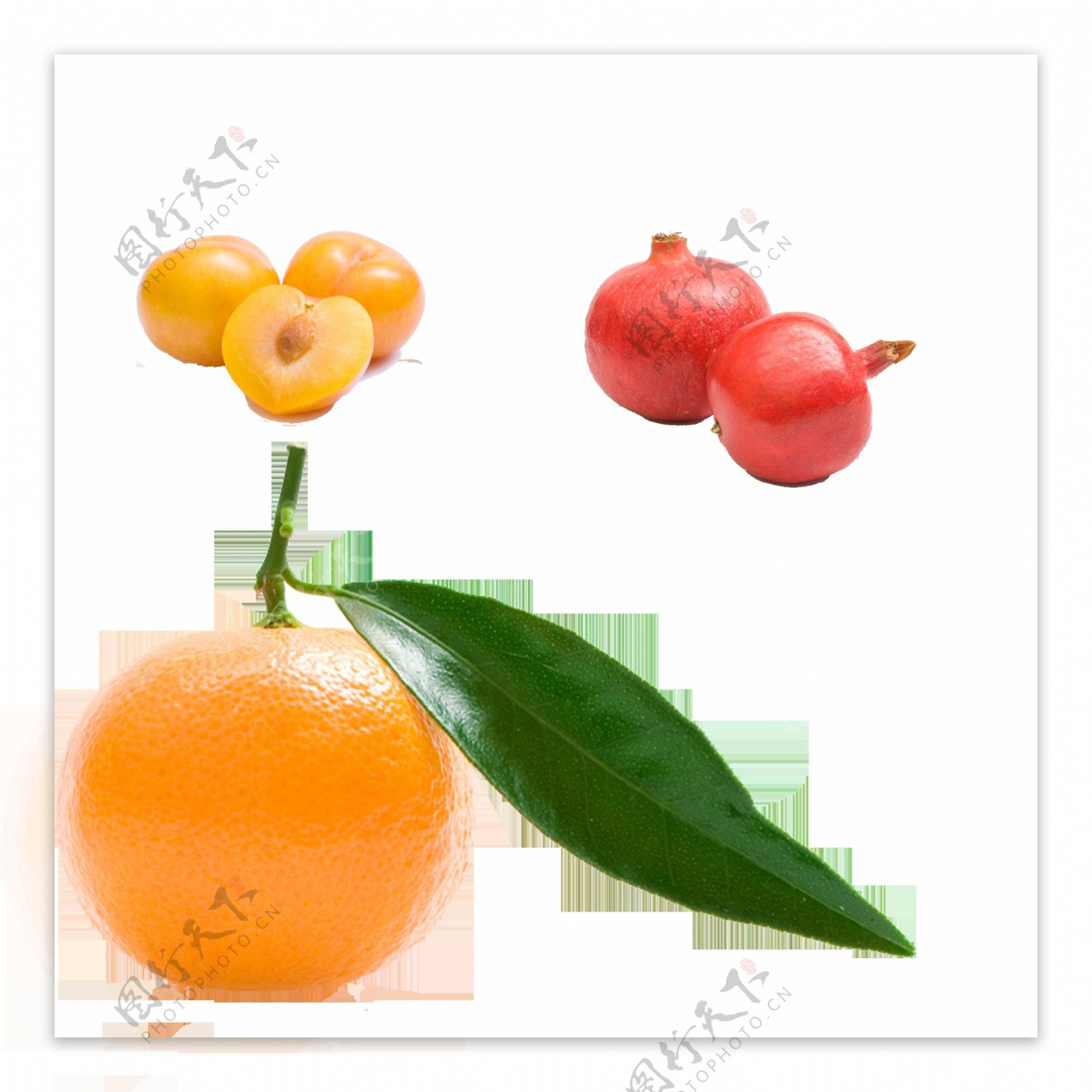 橙子猕猴桃水果素材