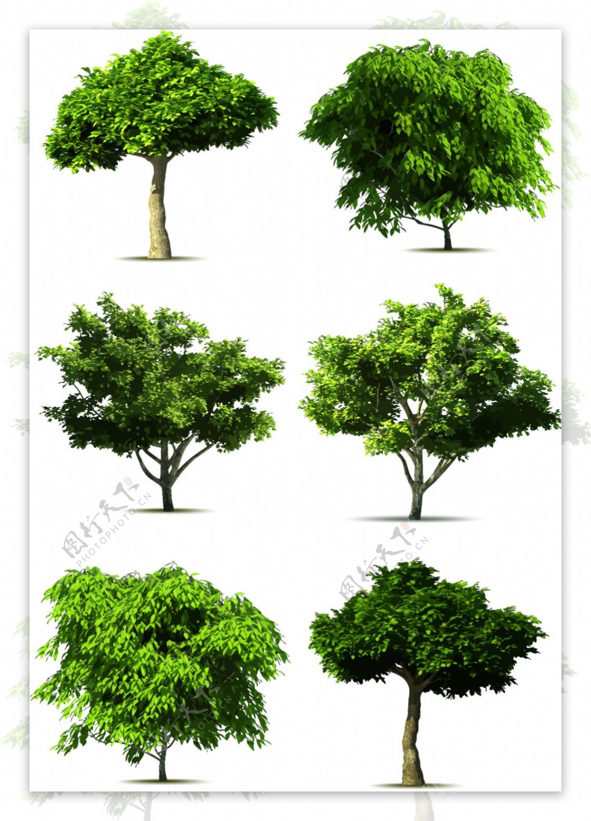 写实风格大树矢量图形设计素材
