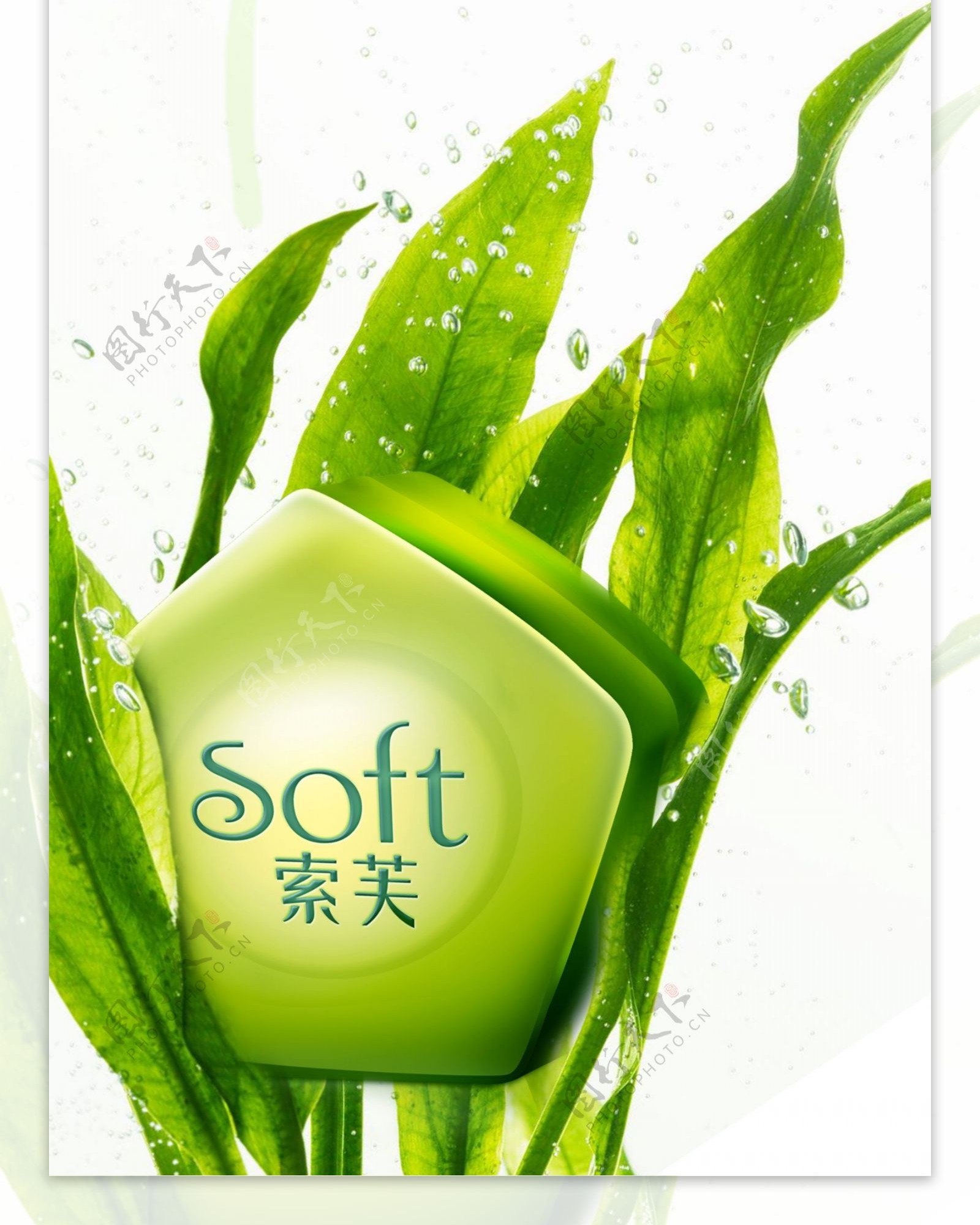 索芙海藻减肥皂