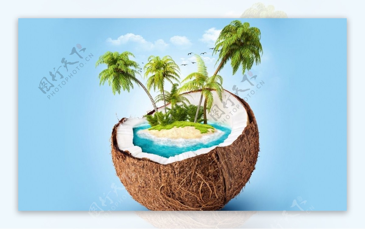 椰子里的阳光沙滩