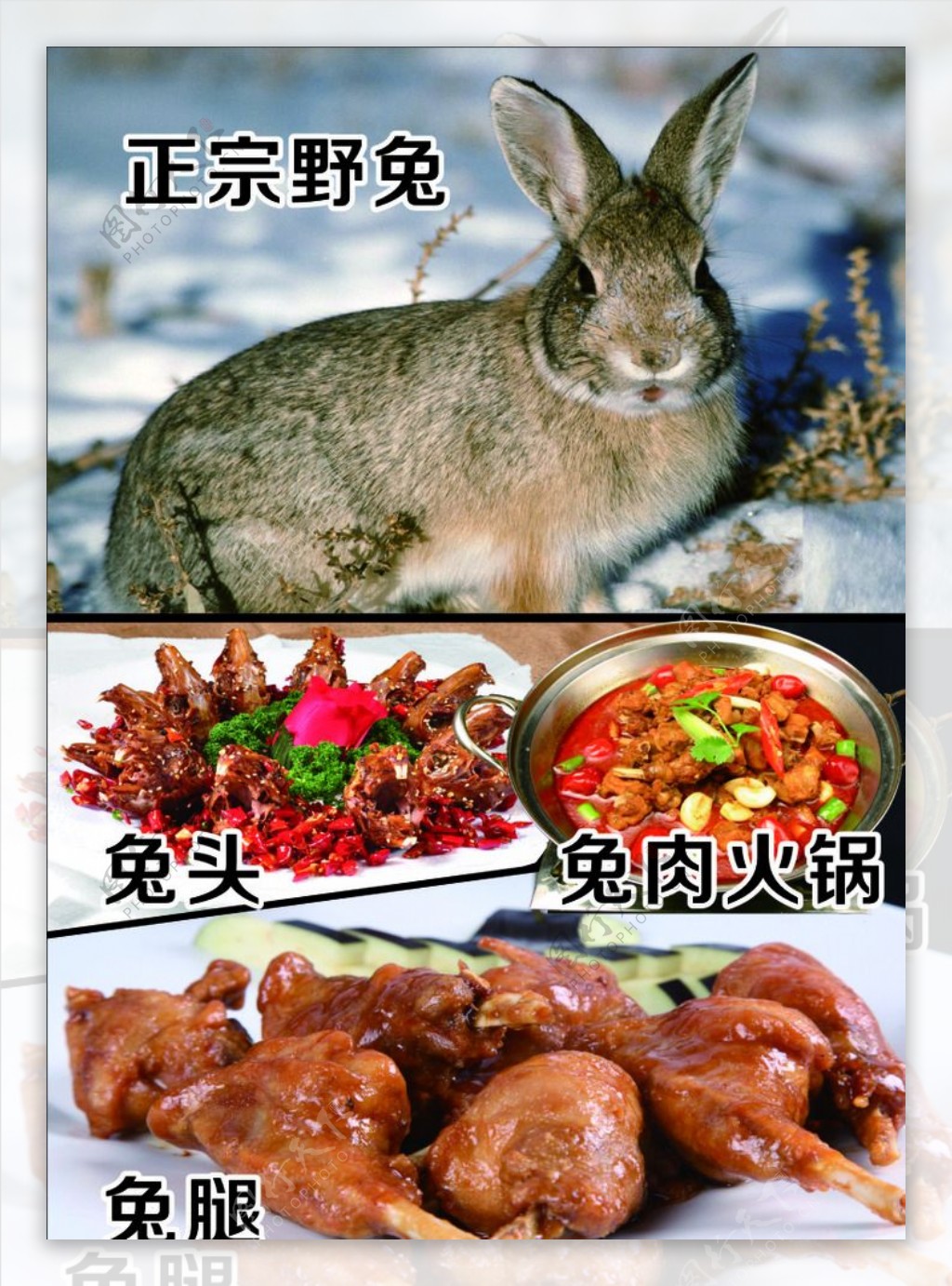 兔子兔肉火锅兔头兔腿