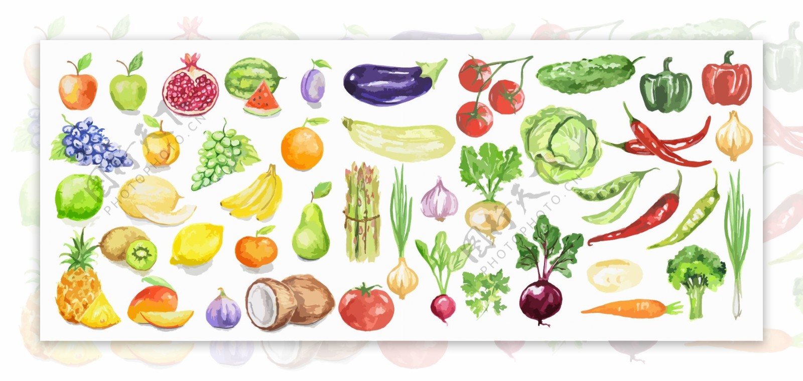 水彩绘蔬菜和水果插画