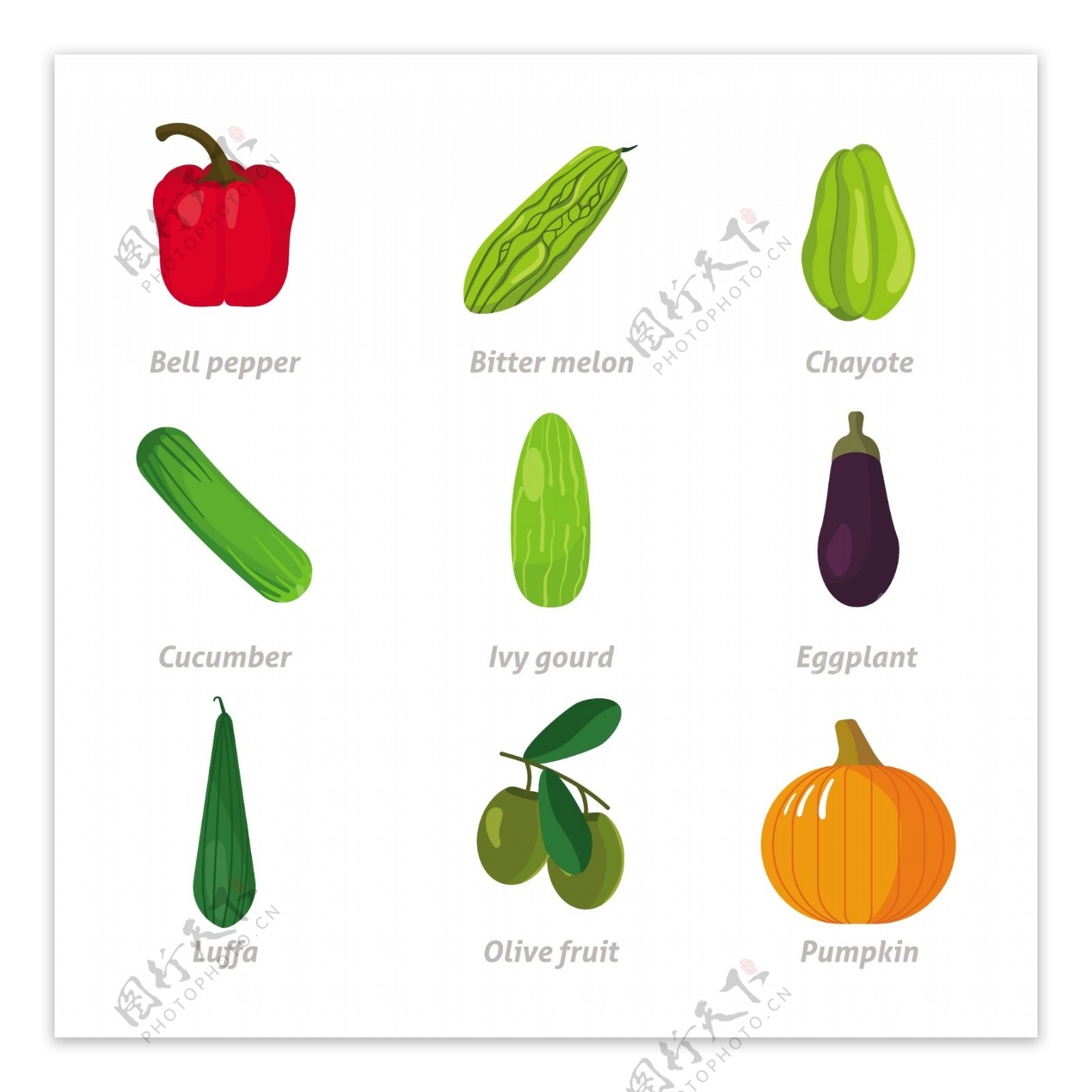 手绘各种蔬菜插图集合