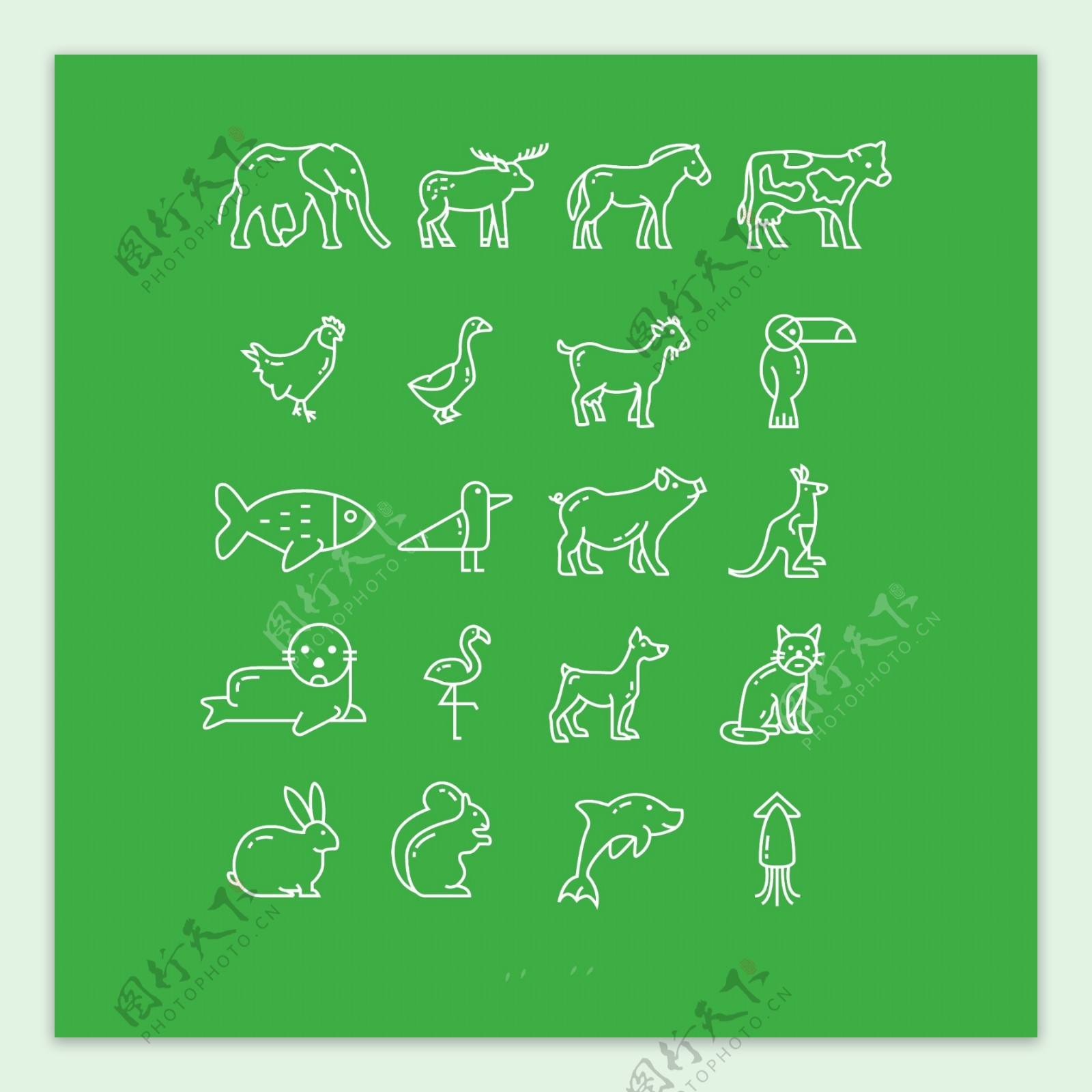线性动物Icons