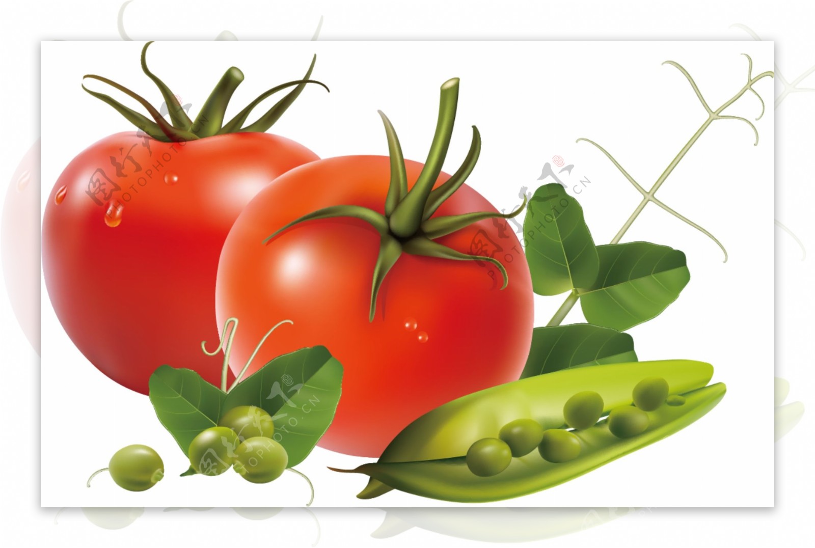 卡通蔬菜番茄矢量图食物素材