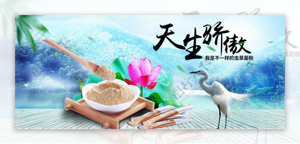 中国风淘宝天猫发酵虫草菌粉促销海报psd