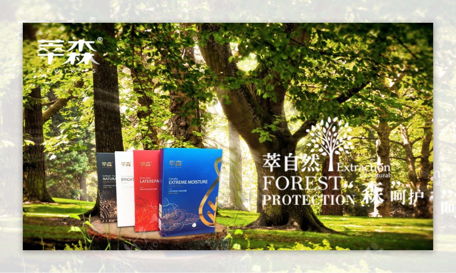 森林品牌产品宣传海报
