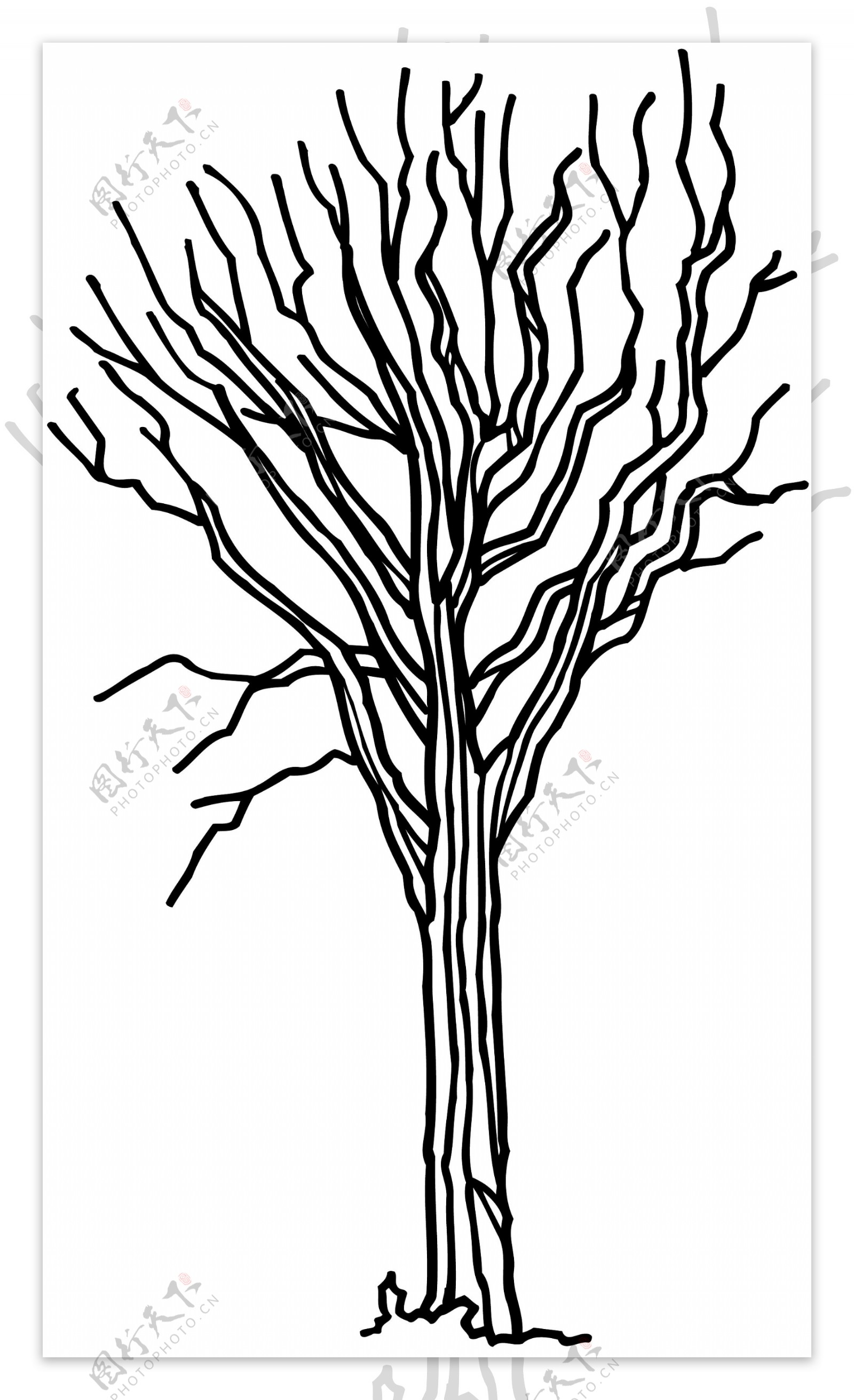 树木矢量素材eps格式0158