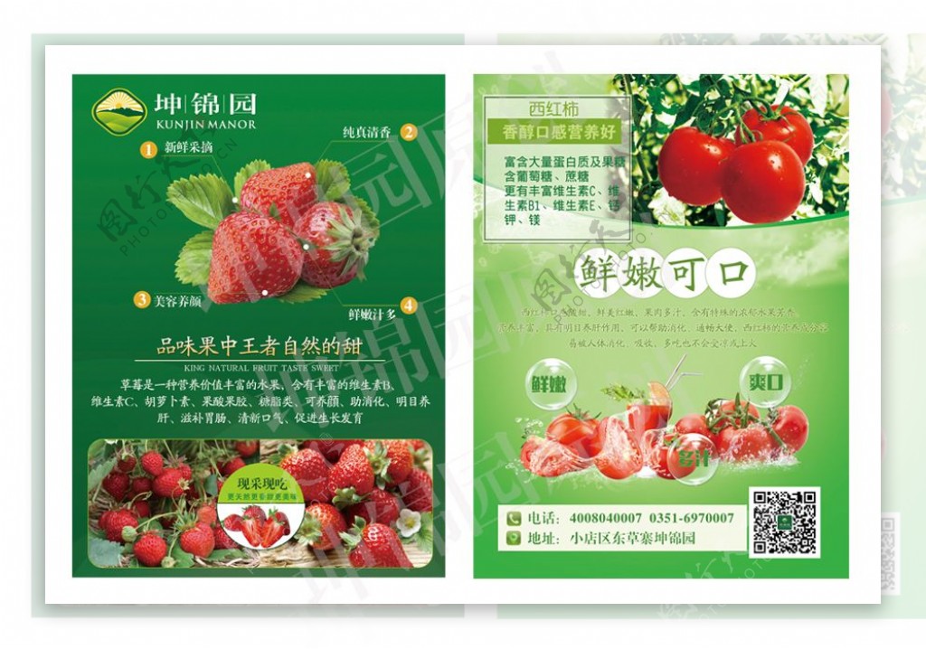 坤锦园绿包草莓西红柿宣传单