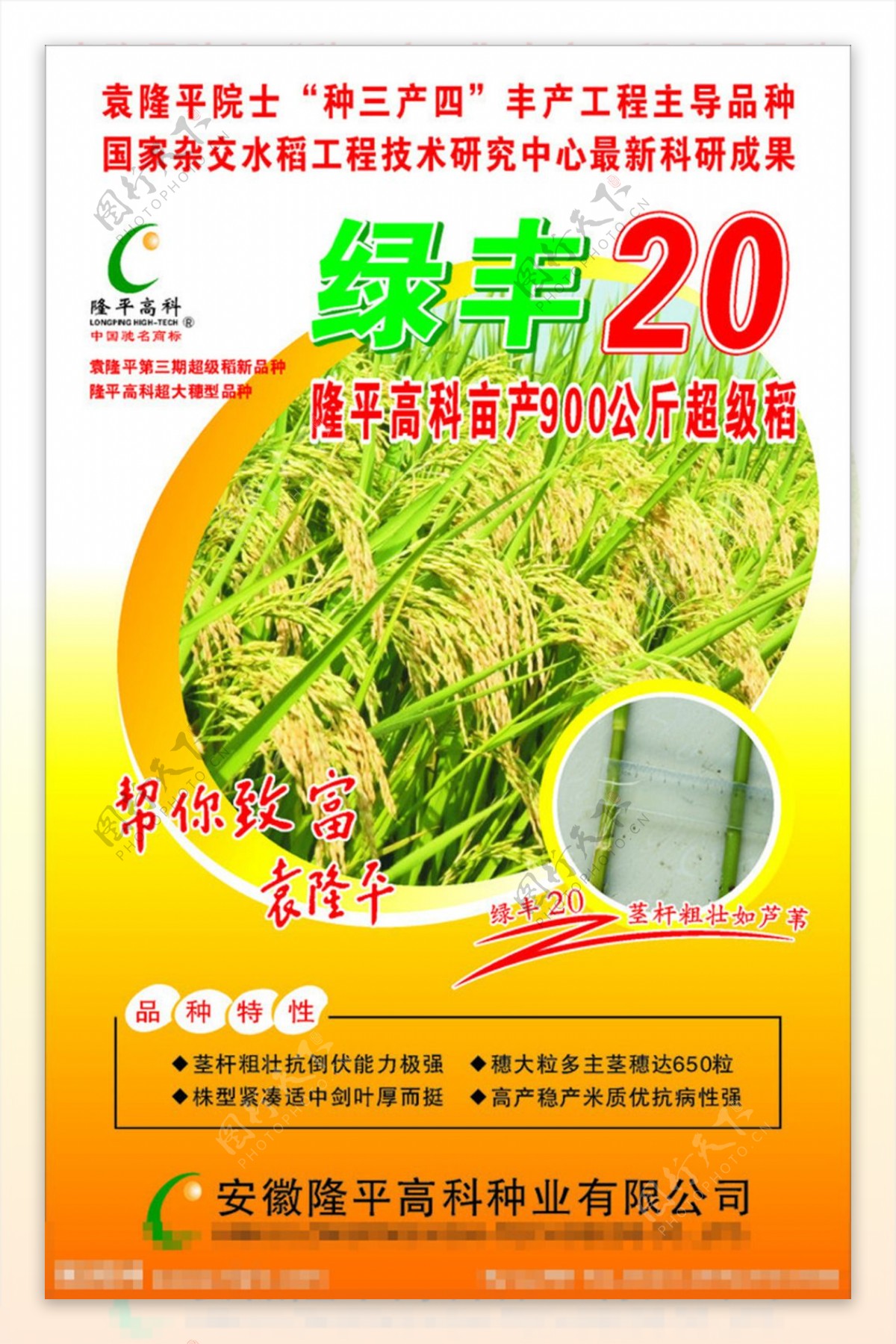 水稻种子包装设计